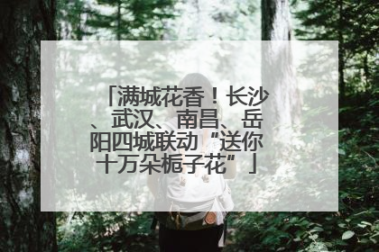 满城花香！长沙、武汉、南昌、岳阳四城联动“送你十万朵栀子花”