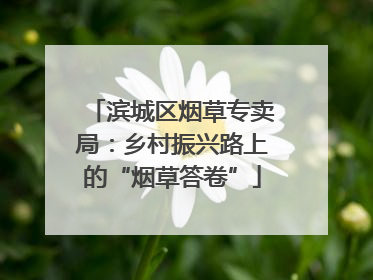 滨城区烟草专卖局：乡村振兴路上的“烟草答卷”