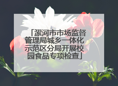 漯河市市场监督管理局城乡一体化示范区分局开展校园食品专项检查