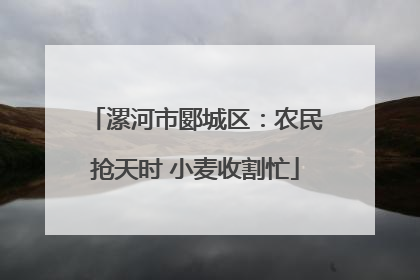 漯河市郾城区：农民抢天时 小麦收割忙