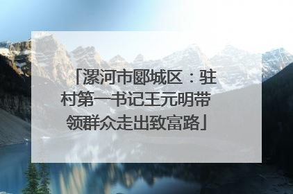 漯河市郾城区：驻村第一书记王元明带领群众走出致富路