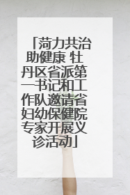 菏力共治助健康 牡丹区省派第一书记和工作队邀请省妇幼保健院专家开展义诊活动