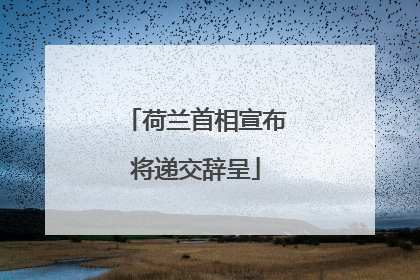 荷兰首相宣布将递交辞呈