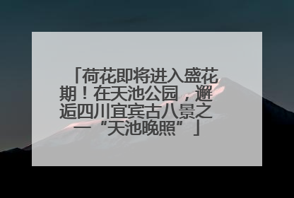 荷花即将进入盛花期！在天池公园，邂逅四川宜宾古八景之一“天池晚照”