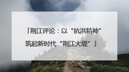 荆江评论：以“抗洪精神”筑起新时代“荆江大堤”