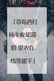 草莓西红柿丰收却滞销 果农在线等援手