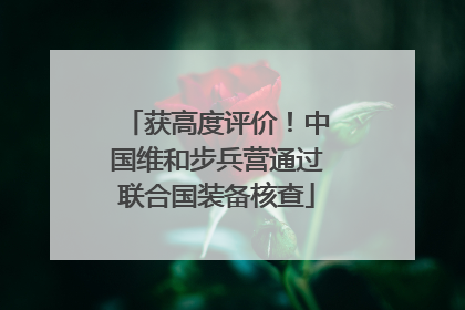 获高度评价！中国维和步兵营通过联合国装备核查