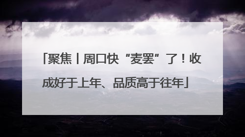 聚焦丨周口快“麦罢”了！收成好于上年、品质高于往年