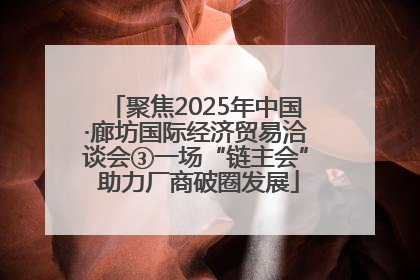 聚焦2025年中国·廊坊国际经济贸易洽谈会③一场“链主会” 助力厂商破圈发展