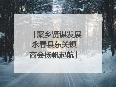 聚乡贤谋发展 永春县东关镇商会扬帆起航