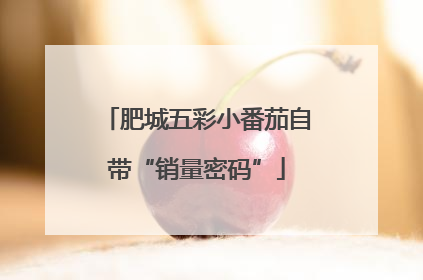 肥城五彩小番茄自带“销量密码”