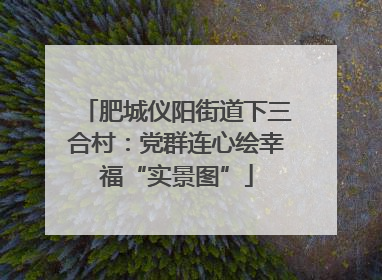 肥城仪阳街道下三合村：党群连心绘幸福“实景图”