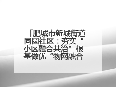 肥城市新城街道同圆社区：夯实“小区融合共治”根基做优“物网融合一家亲”品牌