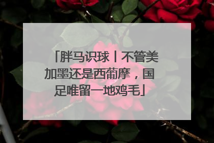 胖马识球丨不管美加墨还是西葡摩，国足唯留一地鸡毛