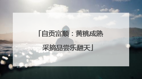自贡富顺：黄桃成熟 采摘品尝乐翻天