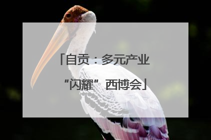 自贡：多元产业“闪耀”西博会