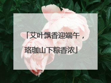 艾叶飘香迎端午，珞珈山下粽香浓