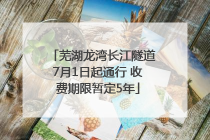 芜湖龙湾长江隧道7月1日起通行 收费期限暂定5年