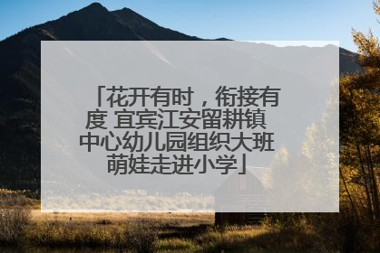 花开有时，衔接有度 宜宾江安留耕镇中心幼儿园组织大班萌娃走进小学