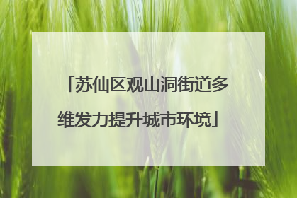苏仙区观山洞街道多维发力提升城市环境