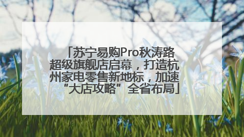 苏宁易购Pro秋涛路超级旗舰店启幕，打造杭州家电零售新地标，加速“大店攻略”全省布局