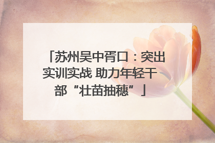 苏州吴中胥口：突出实训实战 助力年轻干部“壮苗抽穗”