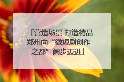 营造场景 打造精品 郑州向“微短剧创作之都”阔步迈进