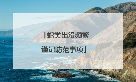 蛇类出没频繁 谨记防范事项