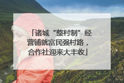 诸城“整村制”经营铺就富民强村路，合作社迎来大丰收
