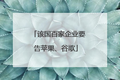 该国百家企业要告苹果、谷歌