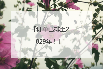 订单已排至2029年！
