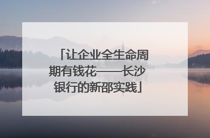 让企业全生命周期有钱花——长沙银行的新邵实践