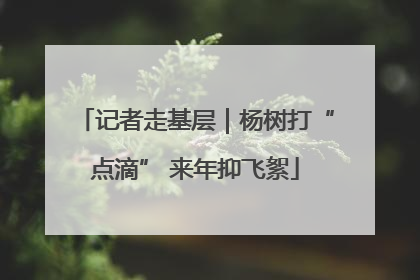 记者走基层｜杨树打“点滴” 来年抑飞絮