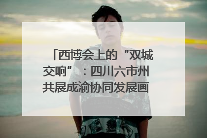 西博会上的“双城交响”：四川六市州共展成渝协同发展画卷｜西博视界