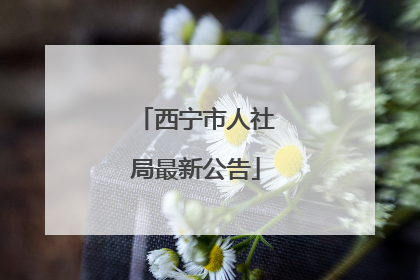 西宁市人社局最新公告