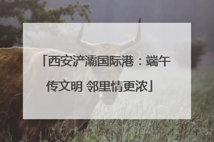 西安浐灞国际港：端午传文明 邻里情更浓