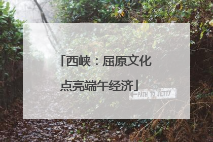 西峡：屈原文化点亮端午经济