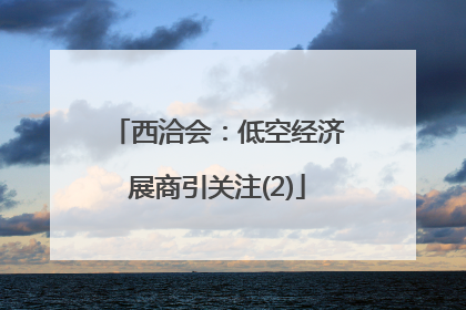 西洽会：低空经济展商引关注(2)