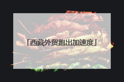 西藏外贸跑出加速度