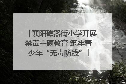 襄阳磁器街小学开展禁毒主题教育 筑牢青少年“无毒防线”
