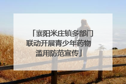 襄阳米庄镇多部门联动开展青少年药物滥用防范宣传
