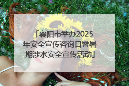襄阳市举办2025年安全宣传咨询日暨暑期涉水安全宣传活动