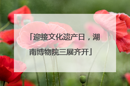 迎接文化遗产日，湖南博物院三展齐开