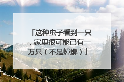 这种虫子看到一只，家里很可能已有一万只（不是蟑螂）