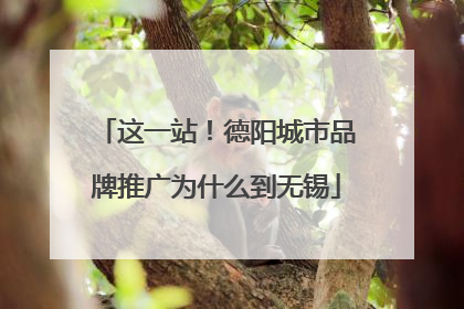 这一站！德阳城市品牌推广为什么到无锡
