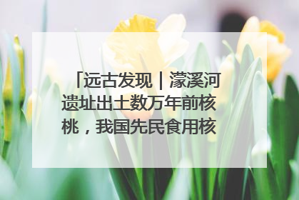 远古发现｜濛溪河遗址出土数万年前核桃，我国先民食用核桃历史大幅提前