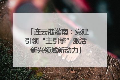 连云港灌南：党建引领“主引擎”激活新兴领域新动力