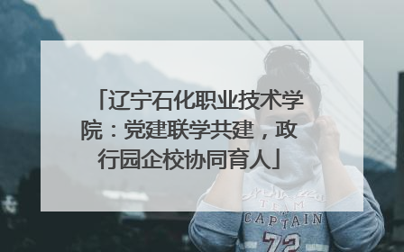 辽宁石化职业技术学院：党建联学共建，政行园企校协同育人