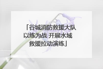 谷城消防救援大队以练为战 开展水域救援拉动演练