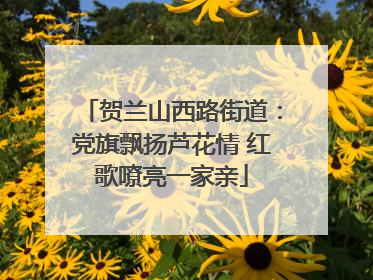 贺兰山西路街道：党旗飘扬芦花情 红歌嘹亮一家亲